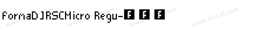 FormaDJRSCMicro Regu字体转换